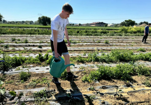 .