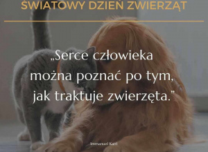 Światowy Dzień Zwierząt