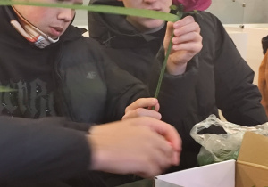 Muzeum w Lipcach Reymontowskich