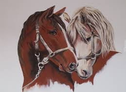 Konkurs „Razem ratujemy konie” Fundacja Honor Pomagania Dzieciom
