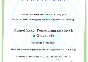 Od roku szkolnego 2014/2015 ZSP w Głuchowie należy do Sieci Szkół Promujących Zdrowie Województwa Łódzkiego.